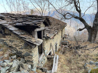 SITUIRE_1 - 41