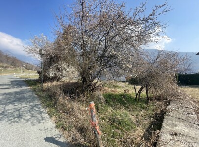 IMG_0320